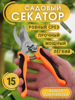 Распродажа 