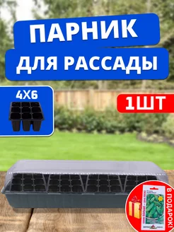 Распродажа 