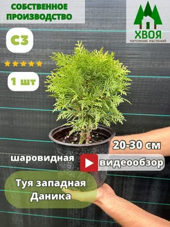 Распродажа .